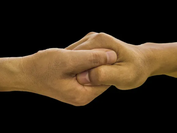 Casino Lord Ping Suporte